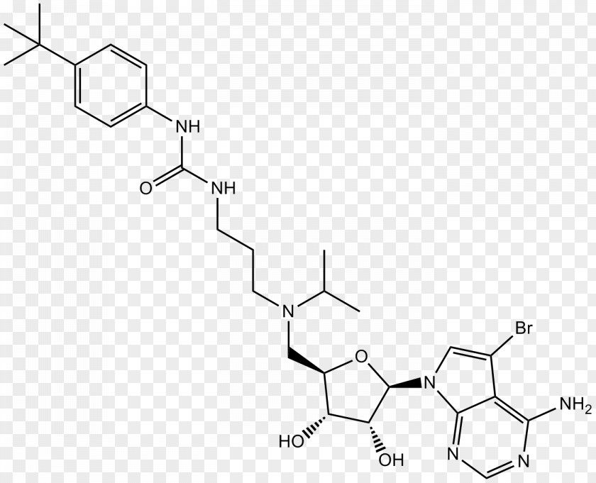 Histone Methyltransferase DOT1L Chromatin PNG