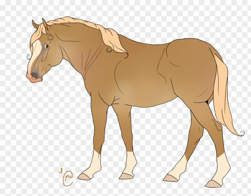 Mustang Pony Rein Foal Stallion PNG
