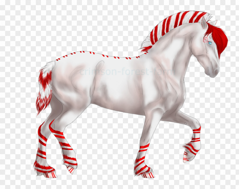 Mustang Stallion Freikörperkultur Yonni Meyer Horse PNG