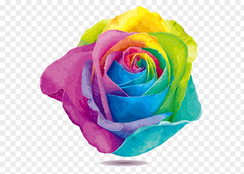 Rainbow Roses PNG roses clipart PNG