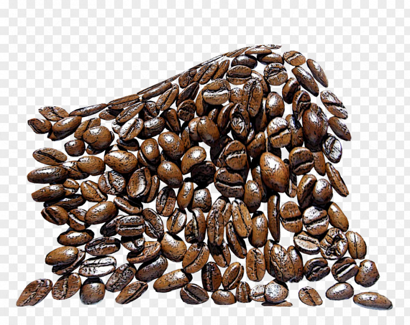 Coffee Beans Jamaican Blue Mountain Nut Seed Commodity PNG