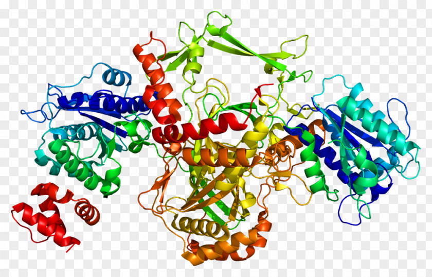 Ku70 Ku80 Protein DNA Repair PNG