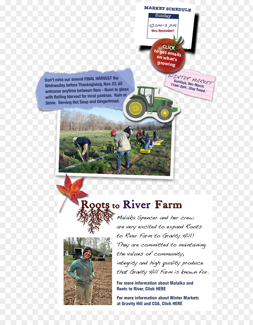 Organic Farm Brochure PNG