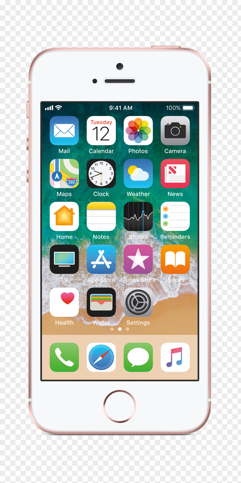Rose Apple IPhone 7 Plus SE 6S LTE PNG