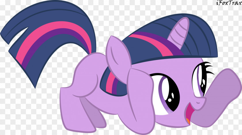 Twilight Sparkle Rarity Derpy Hooves Pony Rainbow Dash PNG