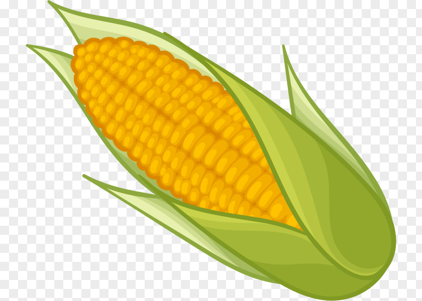 Corn On The Cob Maize Sweet Clip Art PNG