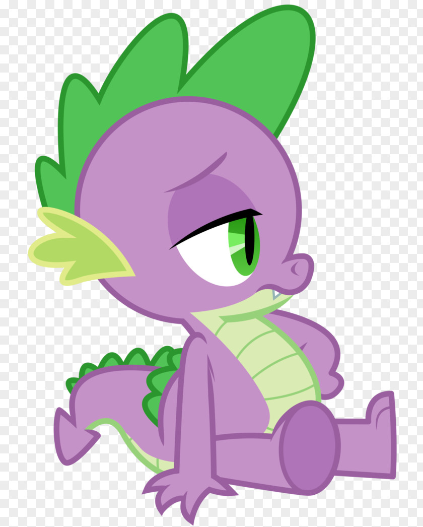 Dragon Pony Spike Rarity Rainbow Dash PNG