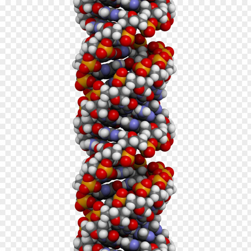 Gene Free Downloads A-DNA Structure Nucleic Acid Double Helix Genetics PNG