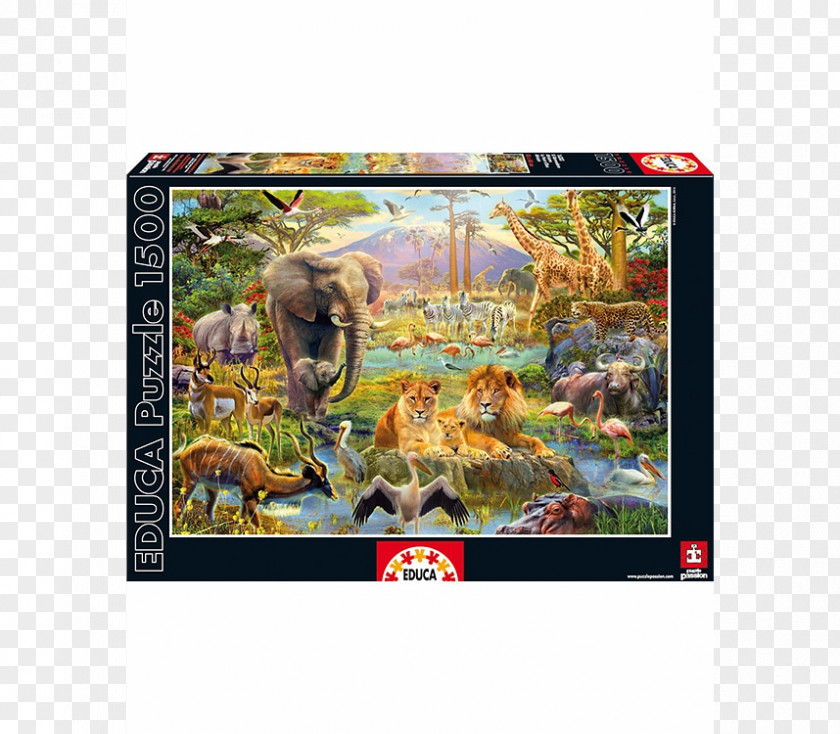 Lion Jigsaw Puzzles Rainforest Jungle Animal PNG