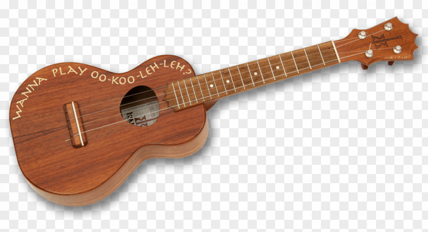 Acoustic Guitar Ukulele Cuatro Tiple Cavaquinho PNG