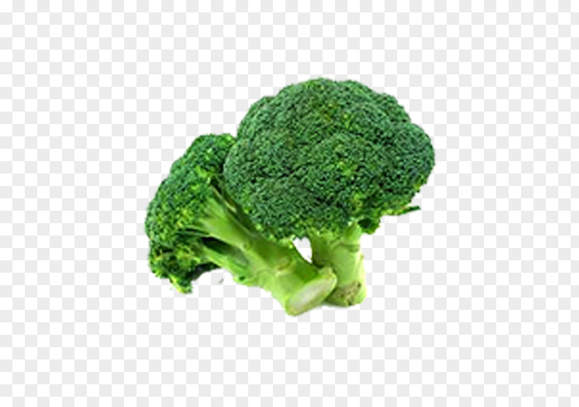 Broccoli Vegetable Food Variety PNG