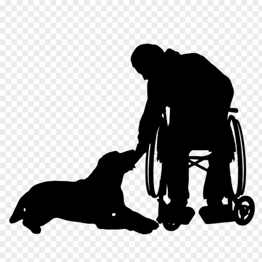 Dog Disability Wheelchair PNG