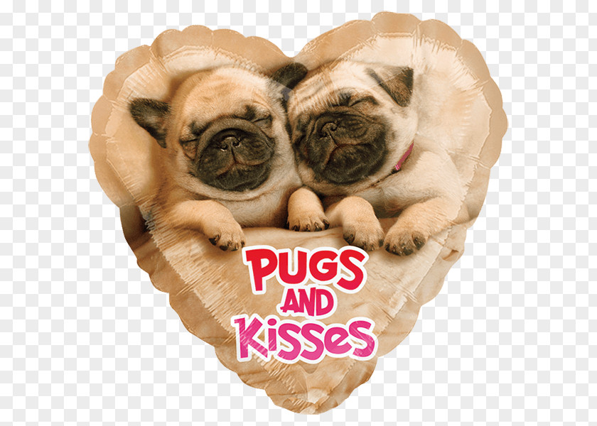 Puppy Pug Valentine's Day Balloon Greeting & Note Cards PNG