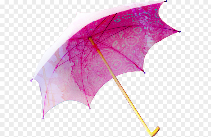 Umbrella Auringonvarjo Clip Art PNG