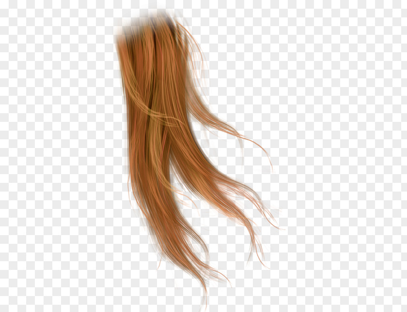 Wig Brown Hair Cabelo Black PNG