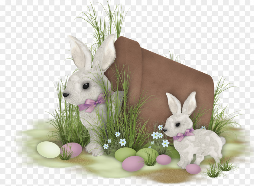 Commercial Use Domestic Rabbit Easter Bunny Hare PNG