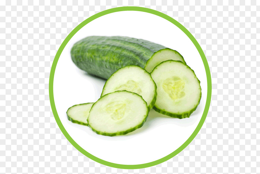 Cucumber Fruit Vegetable Zucchini PNG