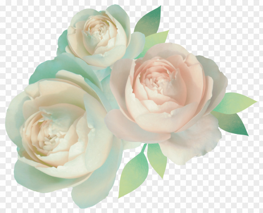 Mint Garden Roses Color Cut Flowers PNG