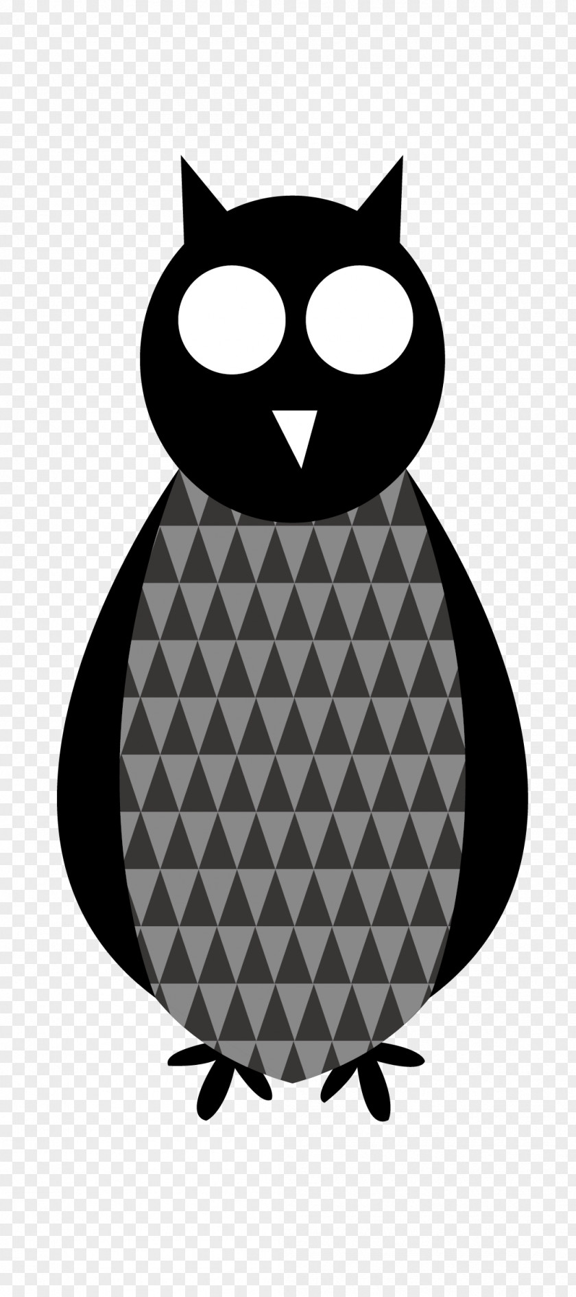 Owl Clothes PNG