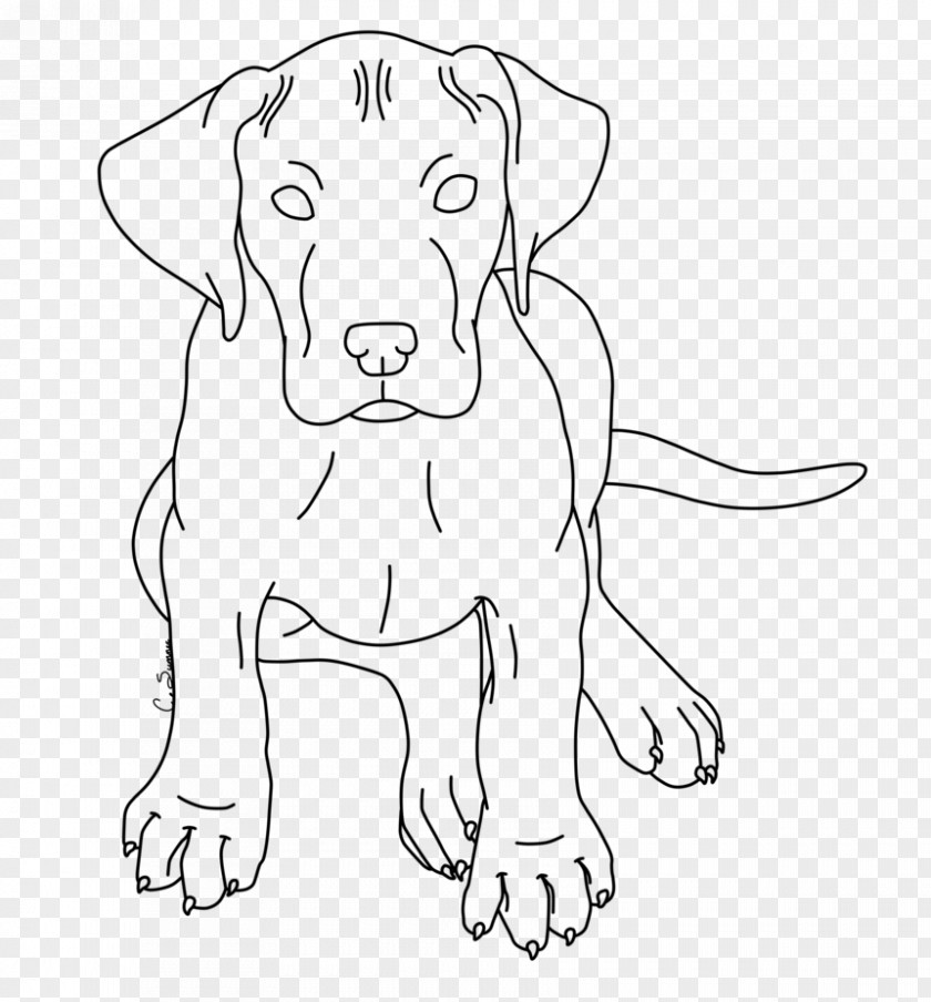 Puppy Dog Breed Great Dane Beagle Boxer PNG