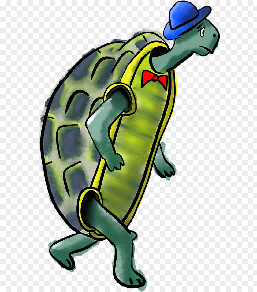 Turtle Tortoise Illustration Clip Art Character PNG