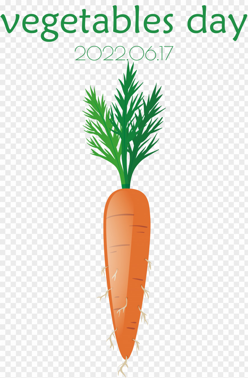 Salad PNG