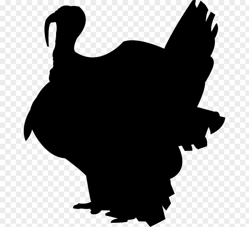 Thanksgiving Vector Silhouette Turkey Meat Drawing PNG