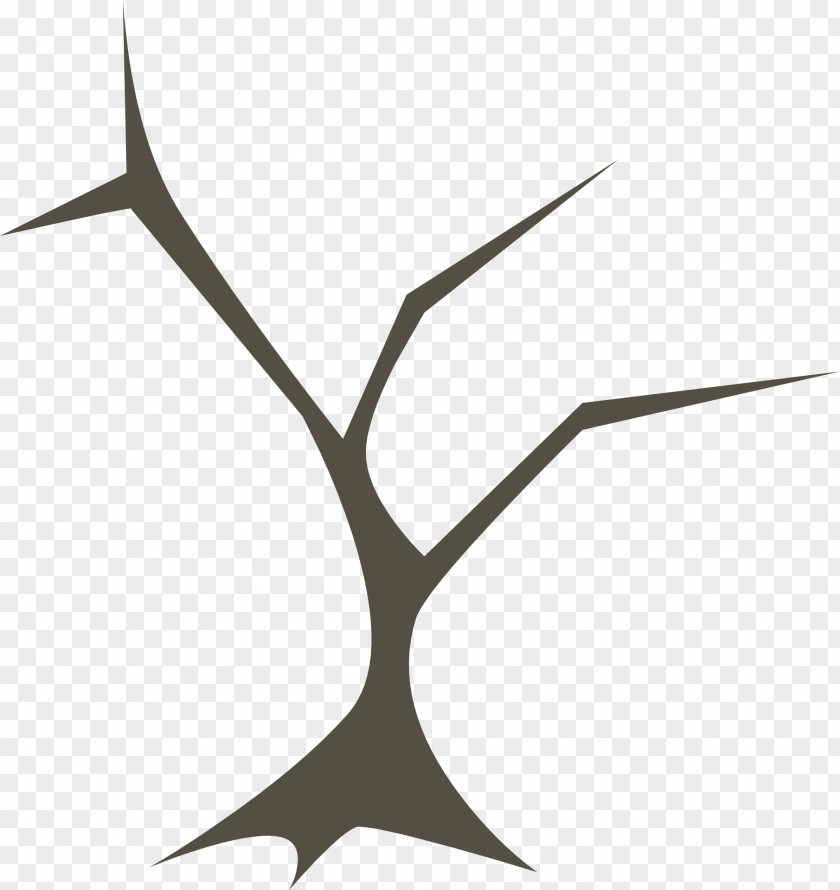 Tree Vector Graphics Branch Image PNG
