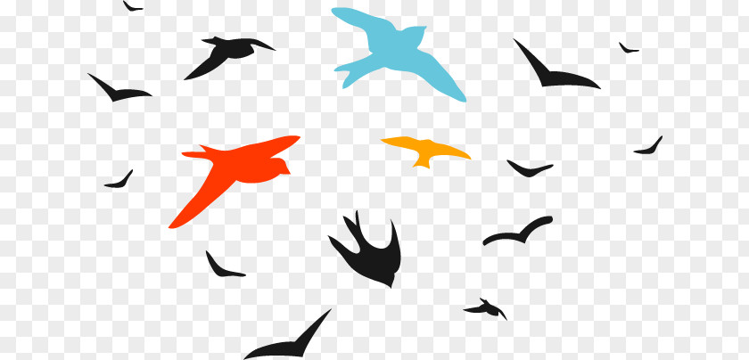 Bird Flock PNG