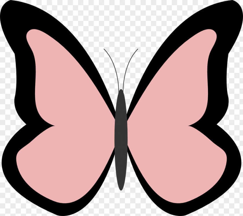Butterfly Monarch Coloring Book Clip Art PNG