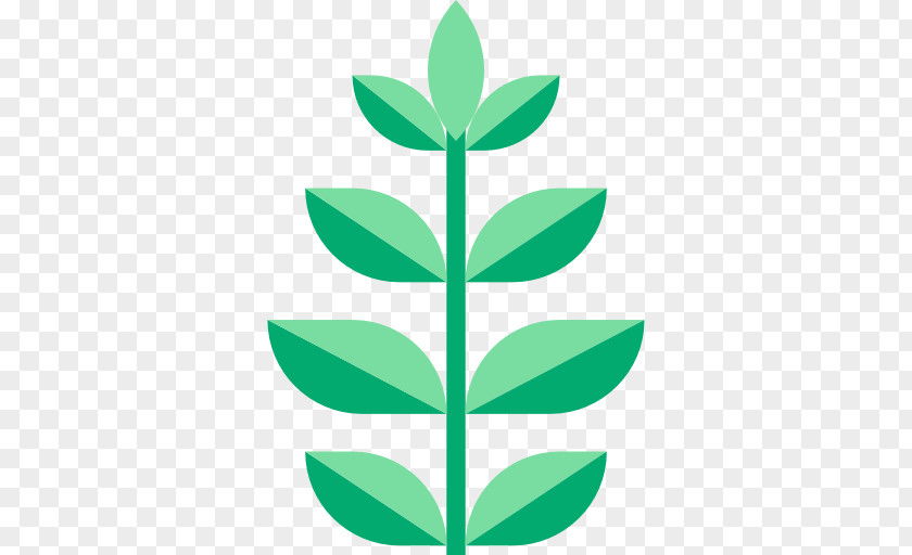 Leaf Green Plant Stem Font PNG