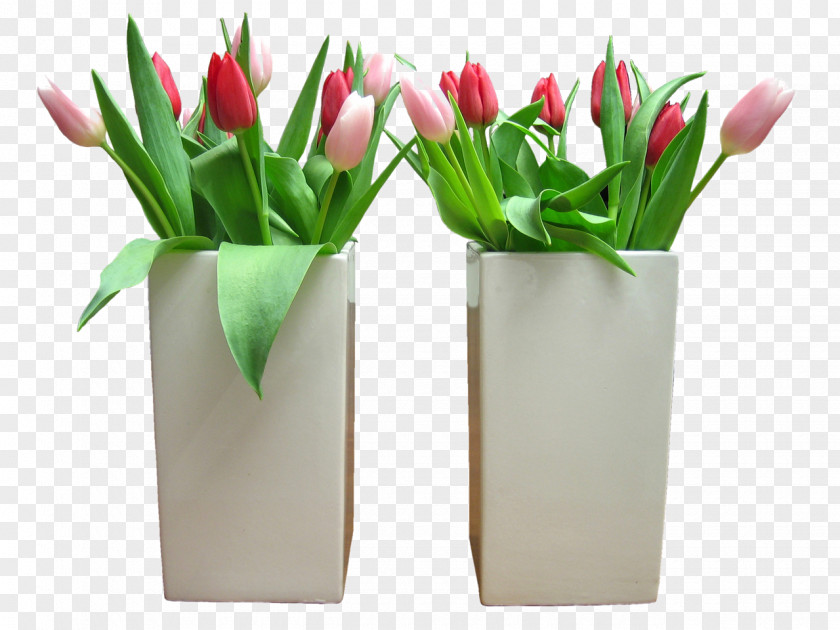 Potted Tulips Flower Bouquet Tulip Rose PNG