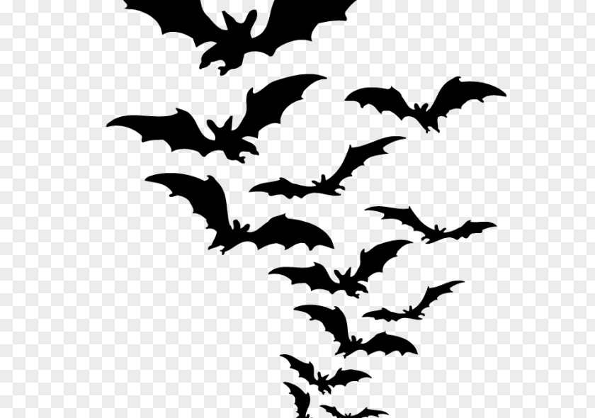 Bats Bat Clip Art PNG