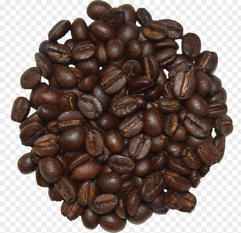 Coffee Beans Jamaican Blue Mountain KEY COFFEE INC Starbucks Iced PNG