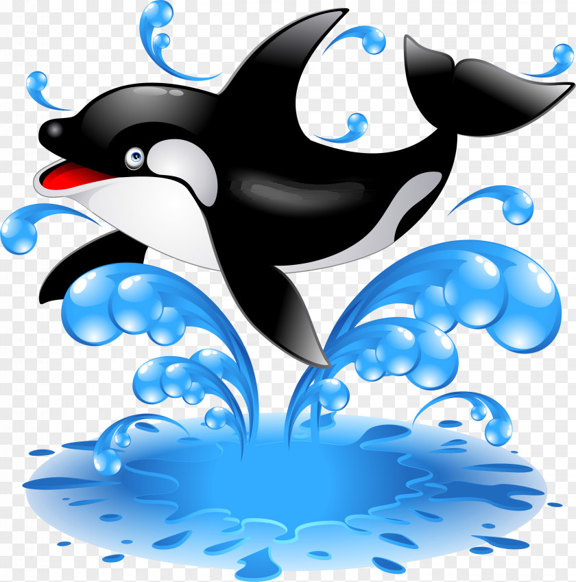 Dolphin Baby Orca Killer Whale Clip Art PNG