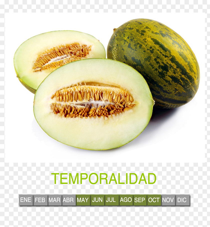 Gourd Fruit Santa Claus Melon Honeydew Cantaloupe Food PNG