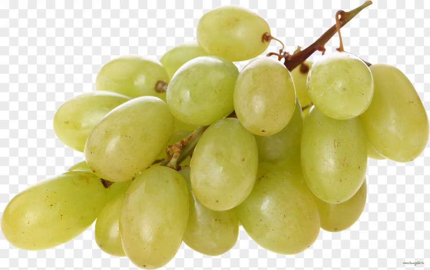 Grape Common Vine Wine Sultana PNG