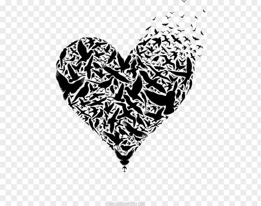 Heart Bird Wall Decal Organ Donation Drawing PNG decal donation Drawing, heart clipart PNG