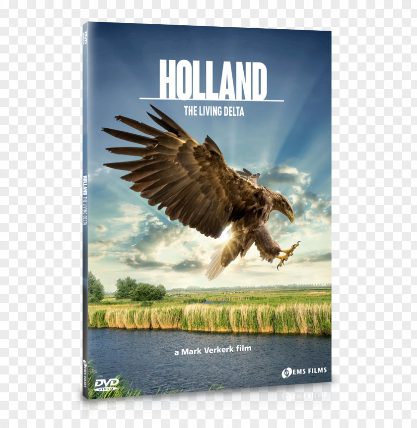Holland Netherlands Documentary Film Landscape Nature PNG