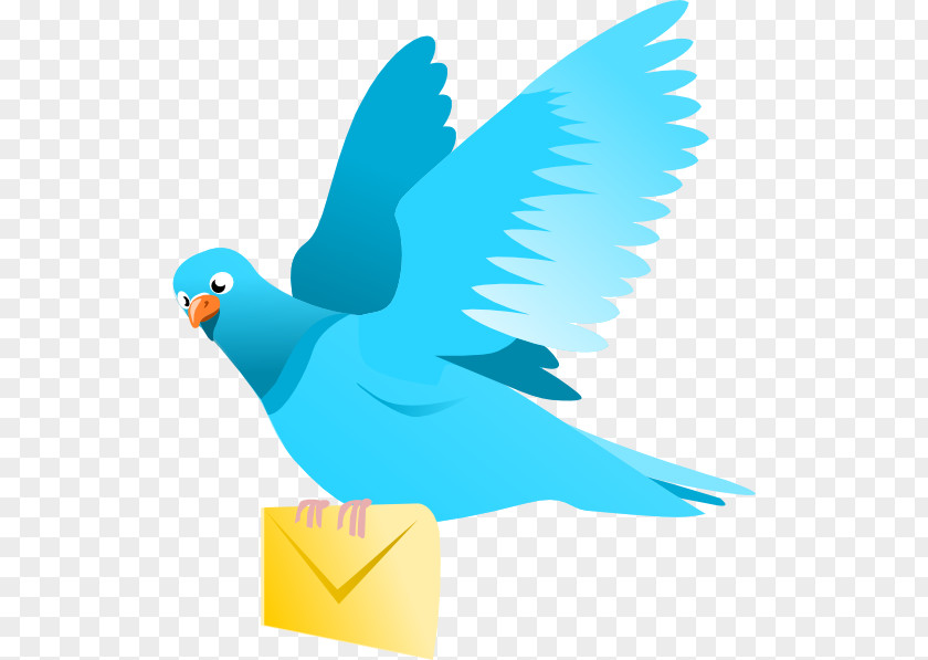 Message Cliparts Homing Pigeon English Carrier Columbidae Clip Art PNG