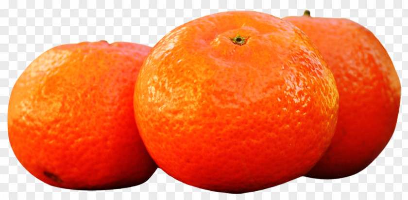 Portakal Tangelo Clementine Tangerine Mandarin Orange PNG