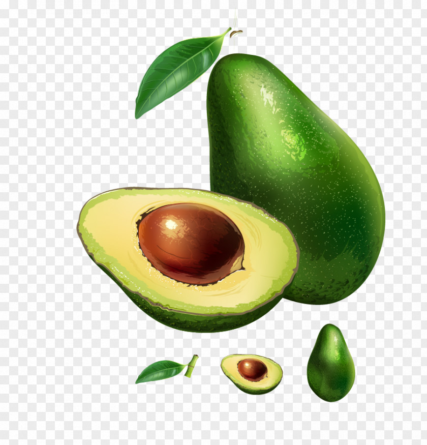 Vector Papaya Hass Avocado Vegetarian Cuisine Stock Photography Illustration PNG