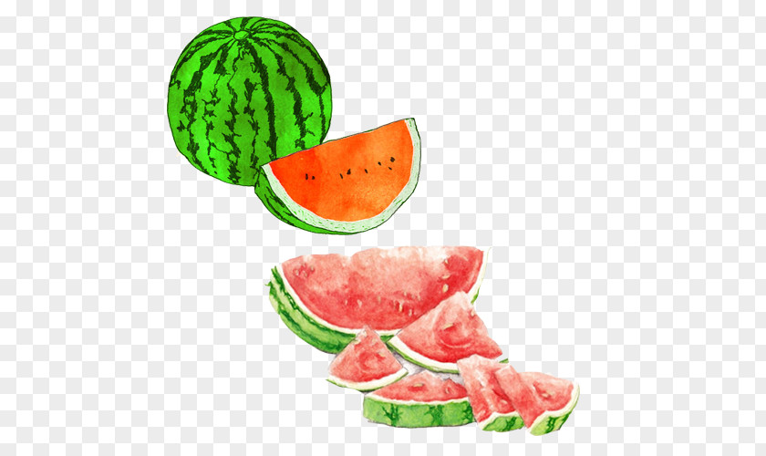 Watermelon Fruit Hand Painting Material Picture Watercolor Drawing Seedless Illustration PNG