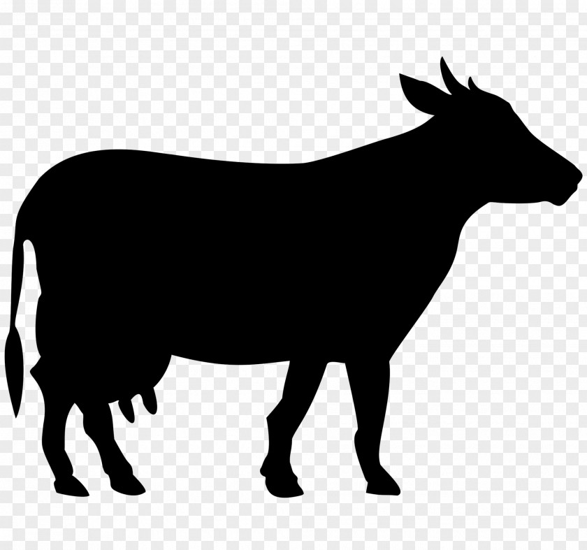 Black Cow Siluete Beef Cattle Clip Art PNG