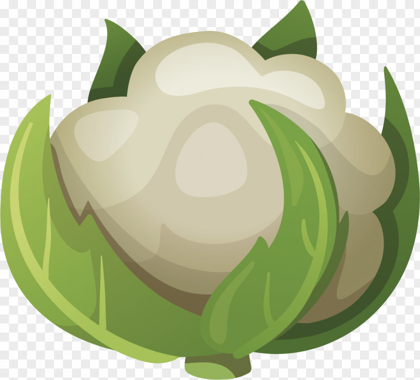 Cauliflower Capitata Group Vegetable Turnip Clip Art PNG