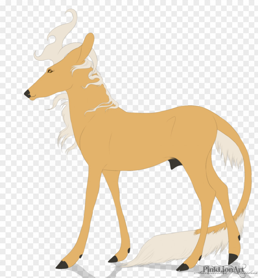 Deer Canidae Antelope Horse Dog PNG