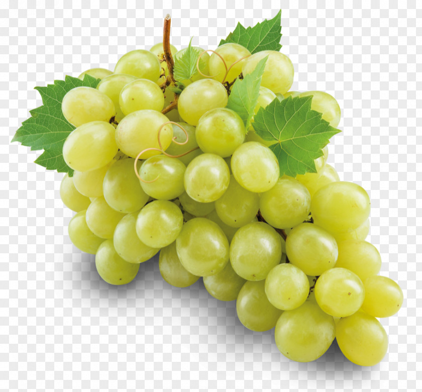 Grape Sultana Kyoho Concord White Wine Seedless Fruit PNG