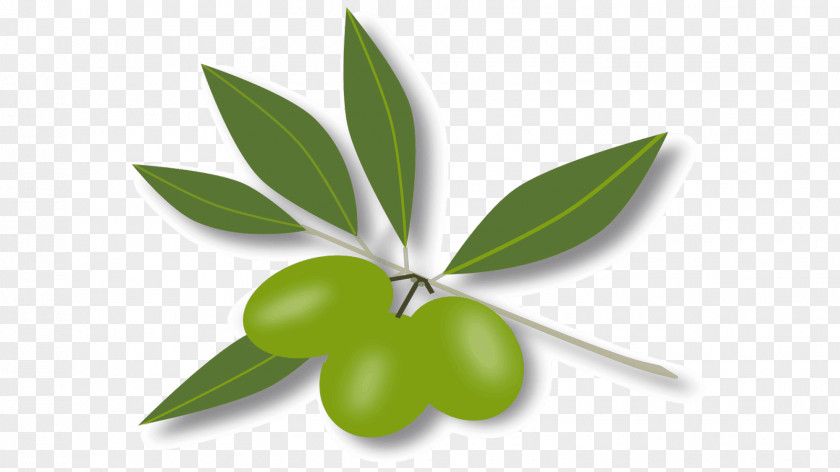 Leaf Fruit Royalty-free Clip Art PNG