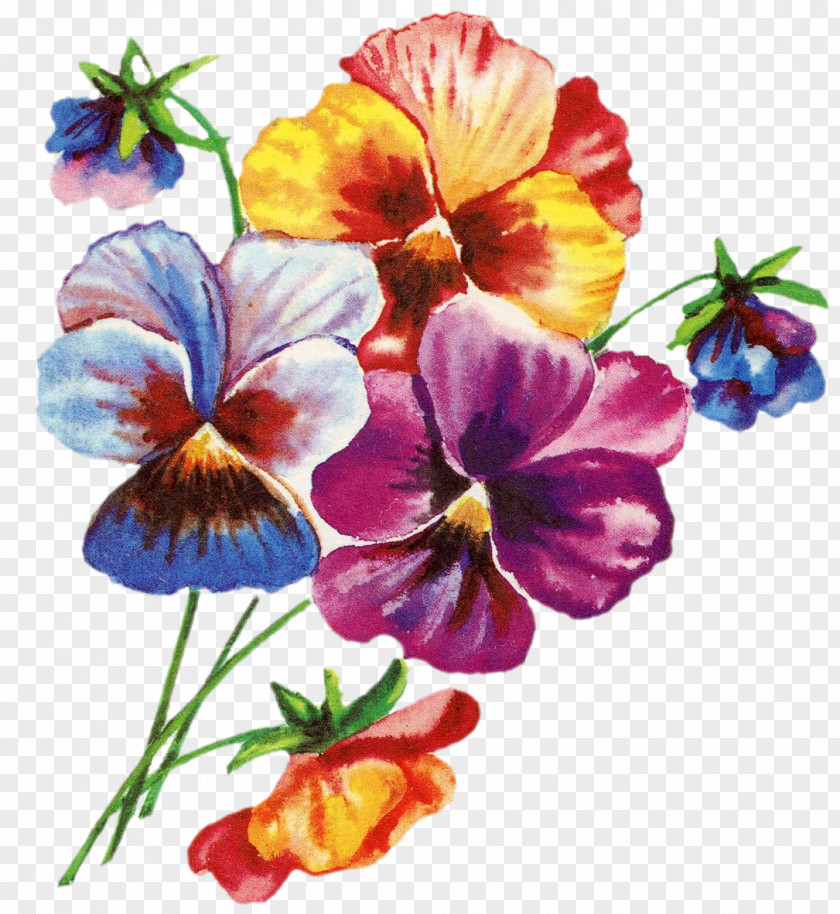 Pansy Ansichtkaart Birthday Greeting & Note Cards Jubileum Gift PNG