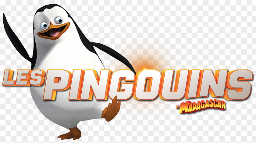 Penguin Kowalski Skipper PNG